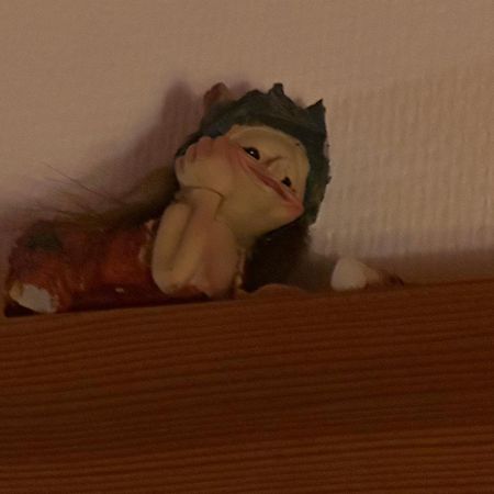 Trollhus - Grosses Familienfreundliches Ferienhaus Born Exteriör bild