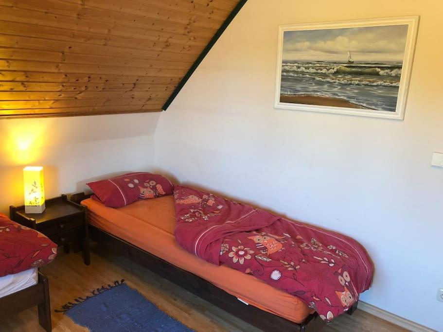 Trollhus - Grosses Familienfreundliches Ferienhaus Born Exteriör bild