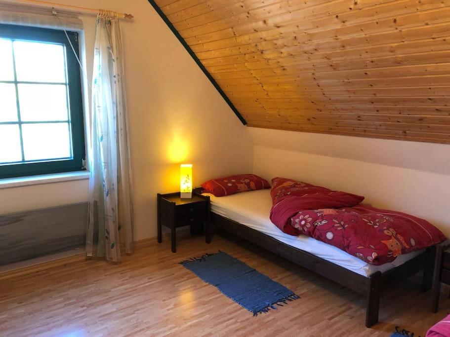 Trollhus - Grosses Familienfreundliches Ferienhaus Born Exteriör bild